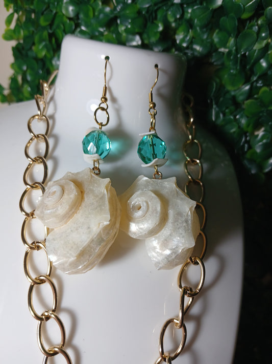 Set Caracol Shell